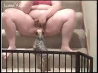 Fat housewife masturbates with a puppy